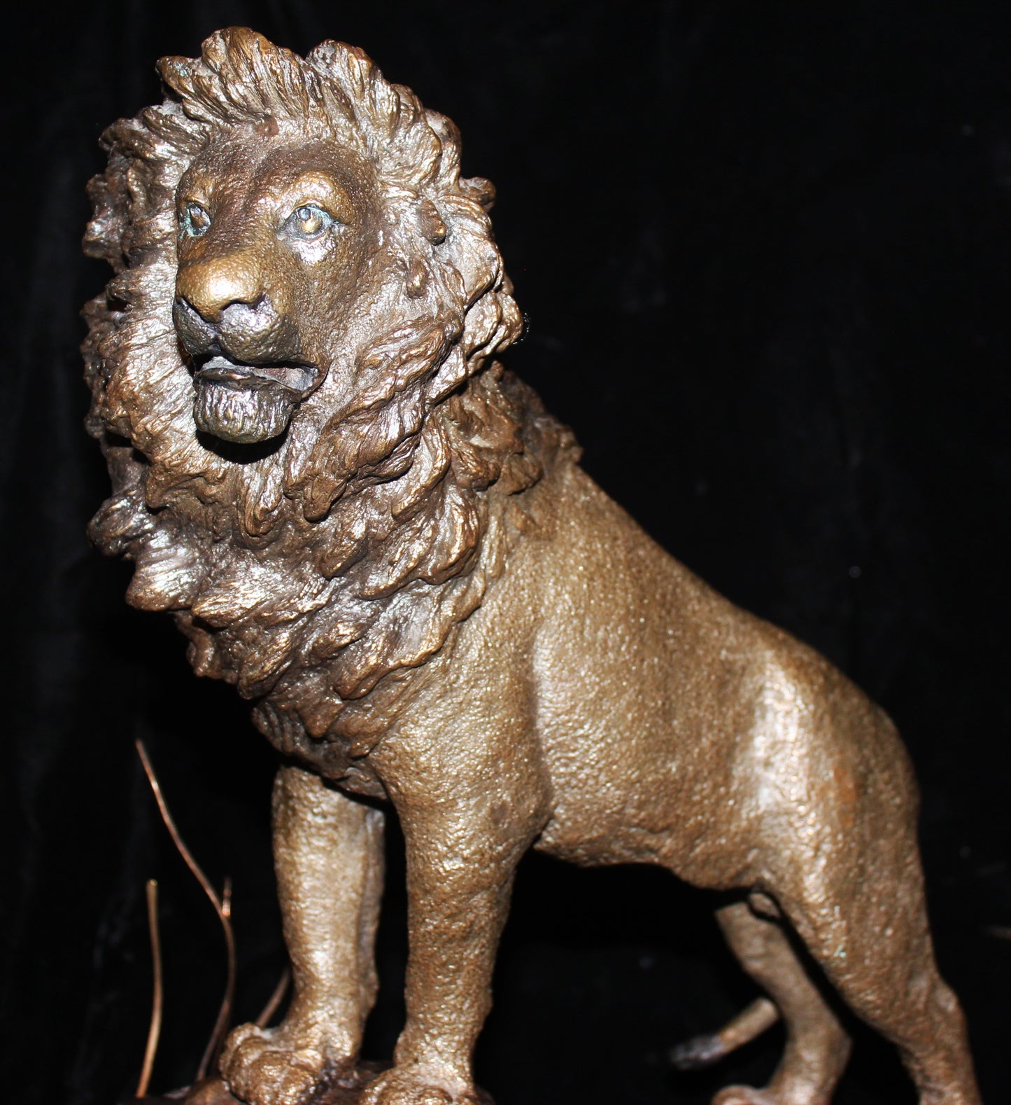 Mark Hopkins 'Pride of Africa' Bronze Sculpture - Centaur Art Galleries