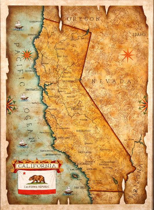 Julius Lira Salazar 'Map of California' Painting - Centaur Art Galleries