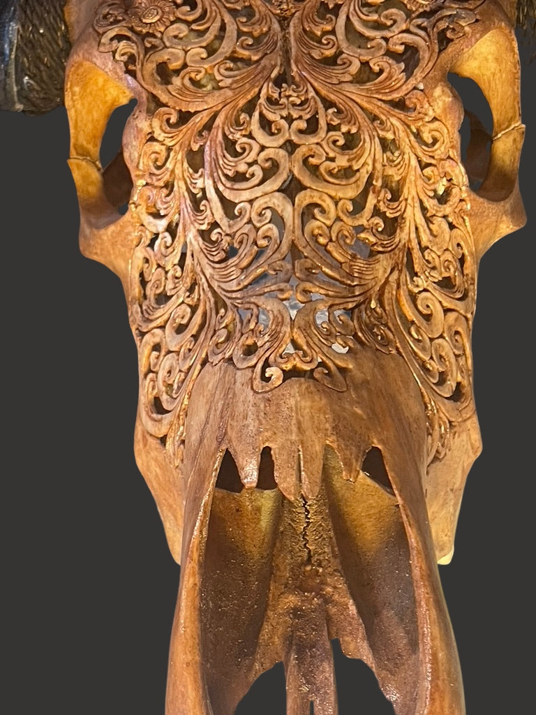 Water Buffalo Skull (Carving) - Centaur Art Galleries