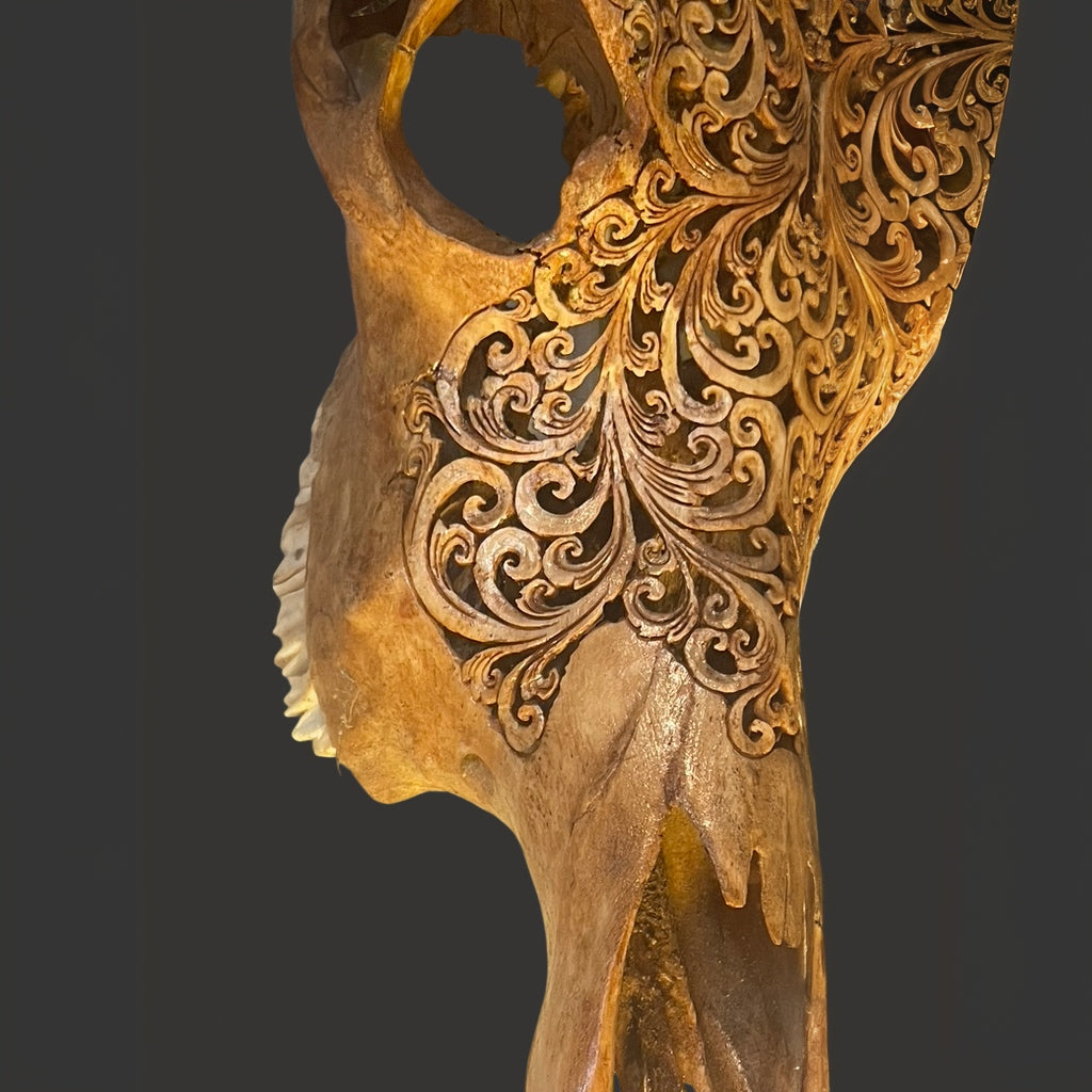 Water Buffalo Skull (Carving) - Centaur Art Galleries