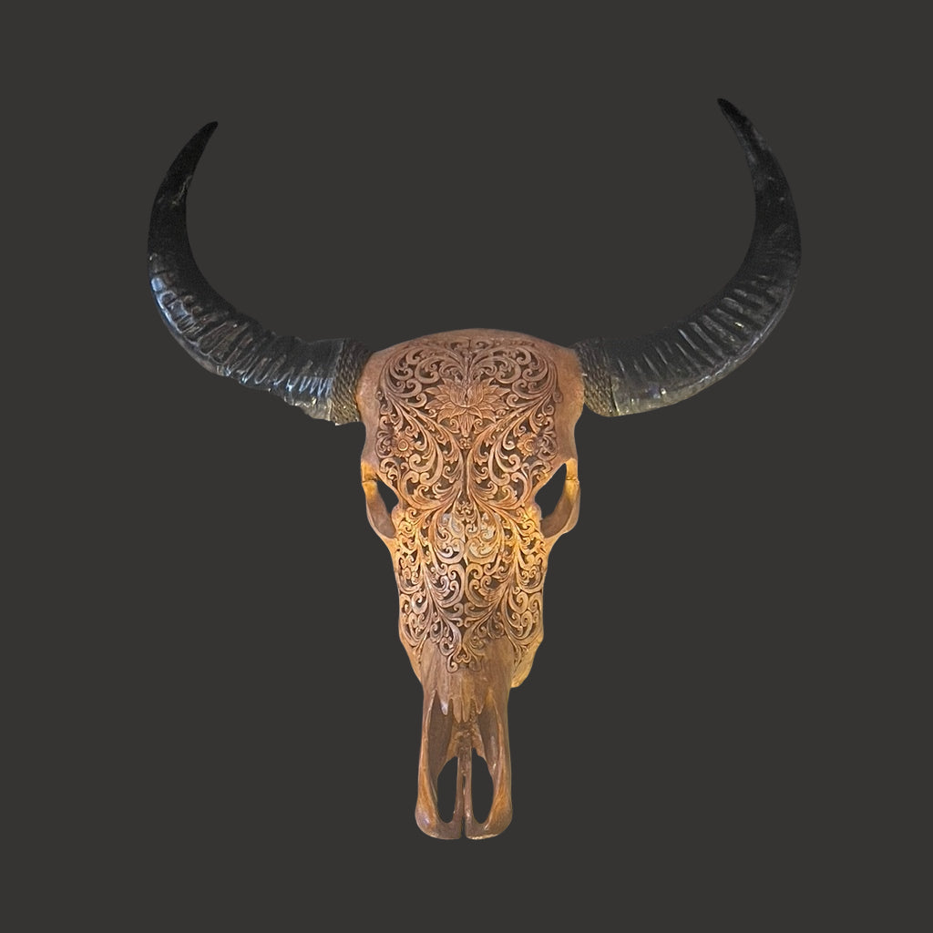 Water Buffalo Skull (Carving) - Centaur Art Galleries