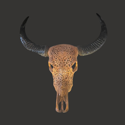Water Buffalo Skull (Carving) - Centaur Art Galleries