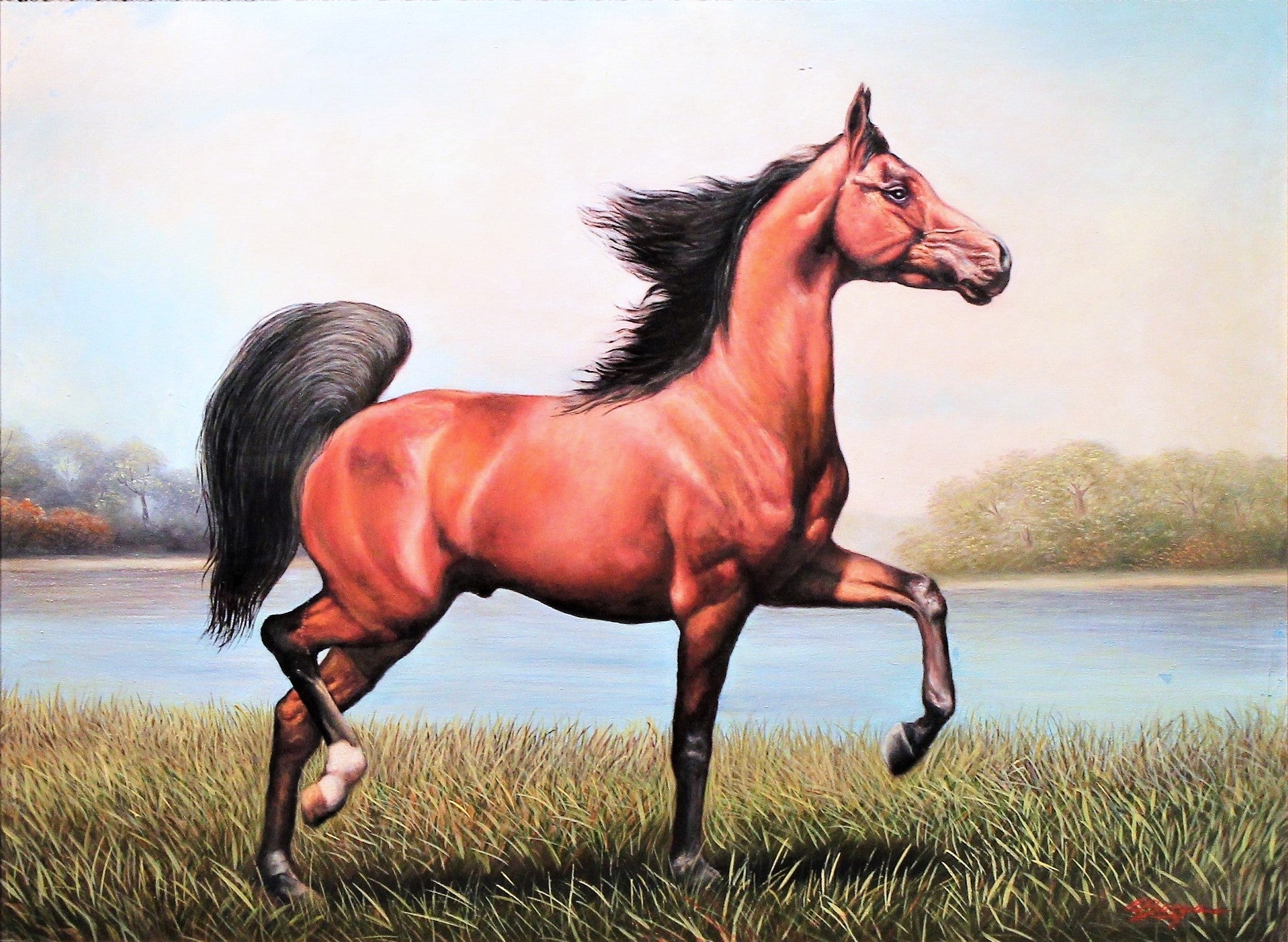Eduardo Burga 'Arabian Horse' - Centaur Art Galleries