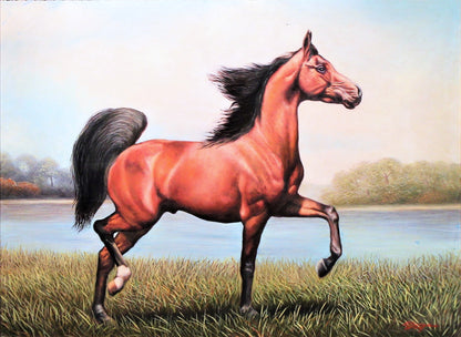 Eduardo Burga 'Arabian Horse' - Centaur Art Galleries
