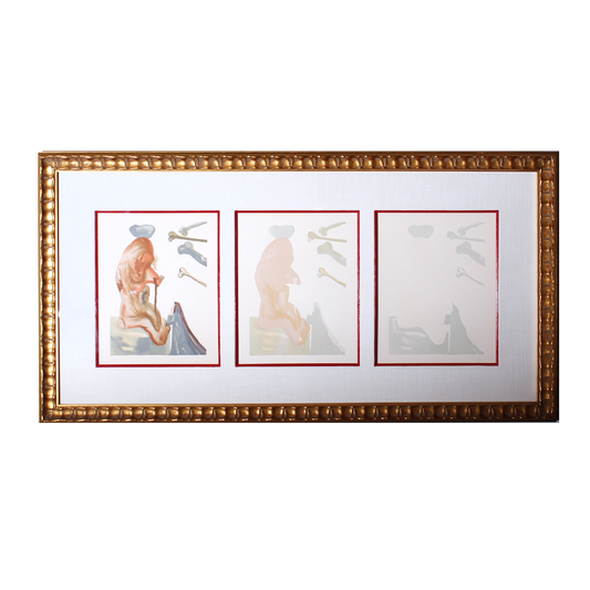 Salvador Dali 'lL Lusingtatore' Divine Comedy-Decomposition Set of 3