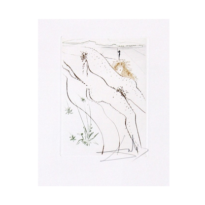 Salvador Dali 'Le Tonneau' (The Tun) Le Decameron Suite