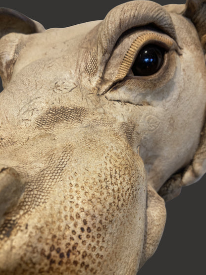 Ceramic Hippo - Centaur Art Galleries