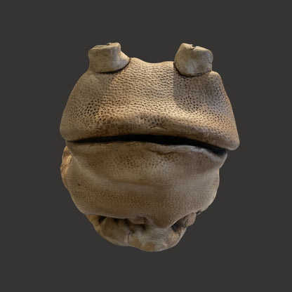 Ceramic Hippo - Centaur Art Galleries