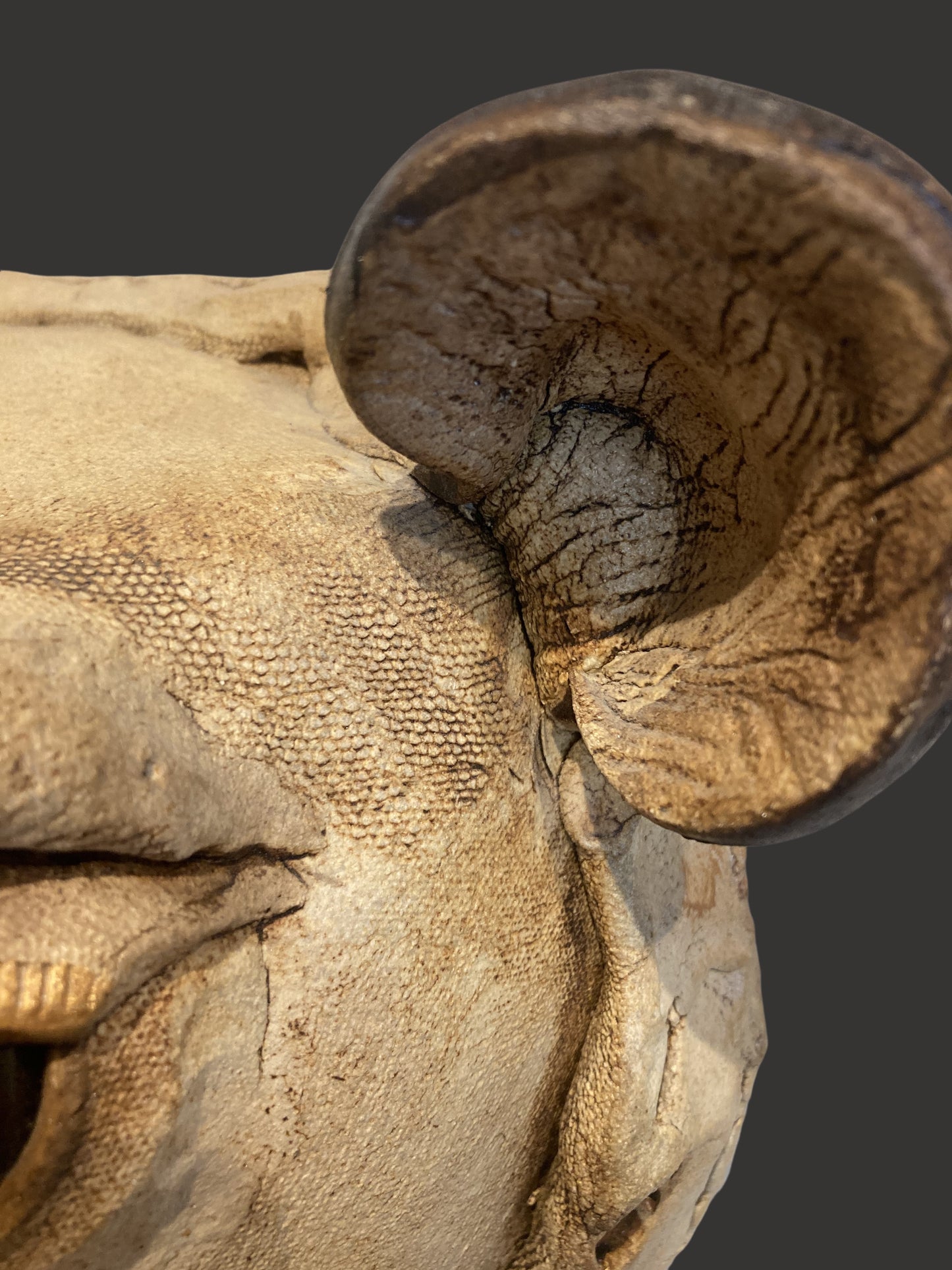 Ceramic Hippo - Centaur Art Galleries