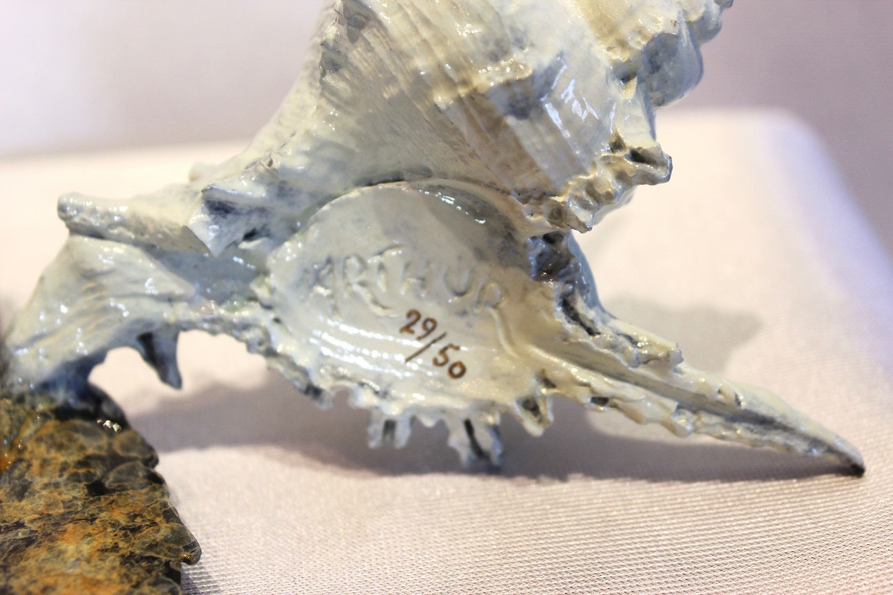 Brian Arthur 'Small Turtle w/Shell' Bronze Sculpture - Centaur Art Galleries