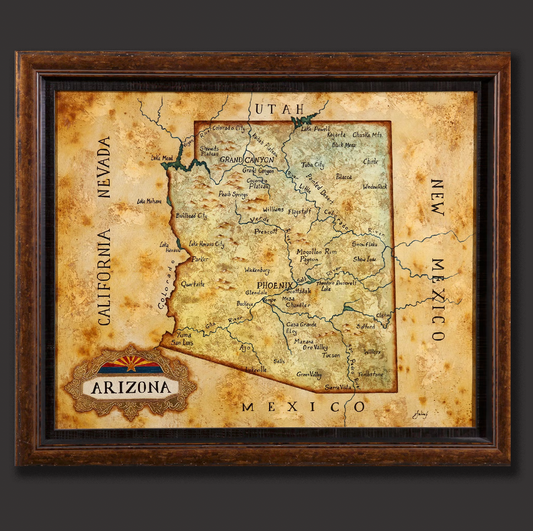 Julius Lira Salazar 'Map of Arizona'